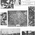 Second page of Argus photo essay on the series of concerts, Fri, Sat, Sun, May 1-3, 1970 